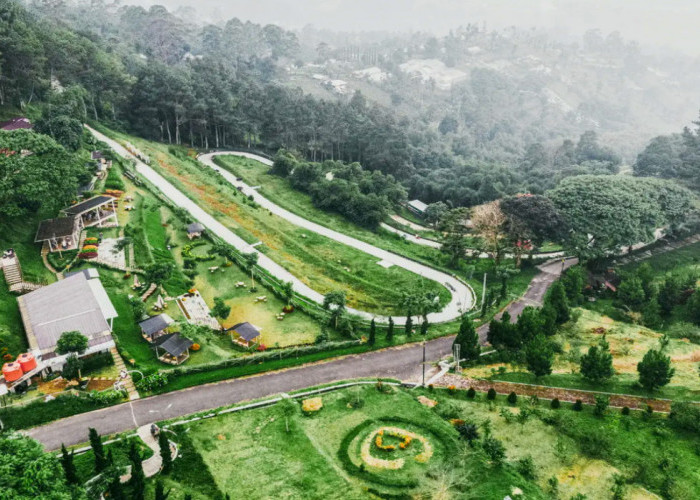 Tampilkan Aktivitas Pemacu Adrenalin, Rasakan Wahana Menarik Wisata Terbaru 2024 Noah's Park Lembang