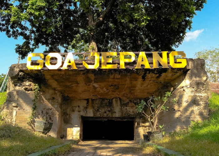 Daftar Destinasi dan Aktivitas Unggulan di Taman Nasional Baluran Paling Memikat, Berikut Informasi Lengkapnya