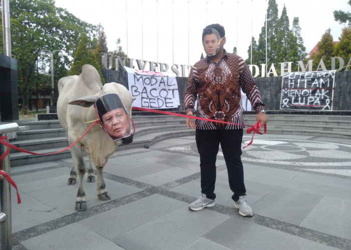 Aksi Sapi Bergambar Wajah Presiden Prabowo, BEM KM UGM Kritik Program MBG dan Tuduh Langgar Konstitusi