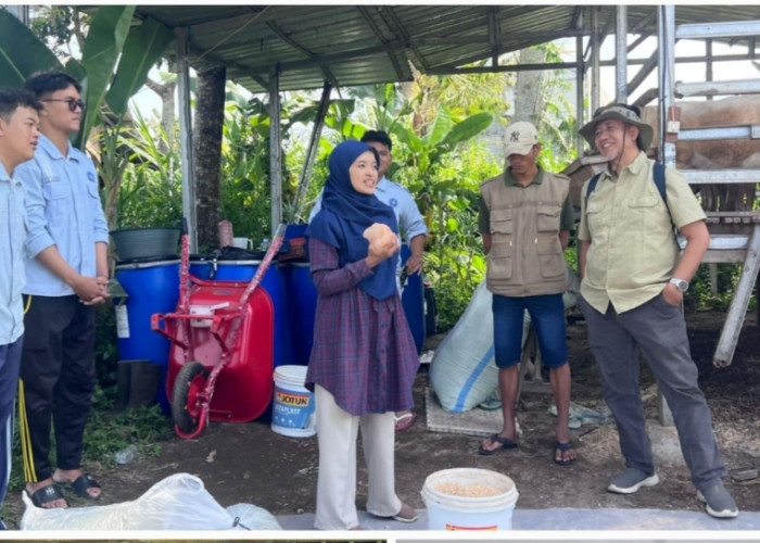 Dari Peternakan Domba, Sinatria Tumbuh Menjadi Ekosistem Kedaulatan Pangan