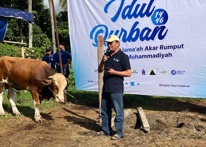 Muhammadiyah Salurkan Hewan Kurban 8 Ekor Sapi dan 31 Kambing di Sleman dan Daerah 3T
