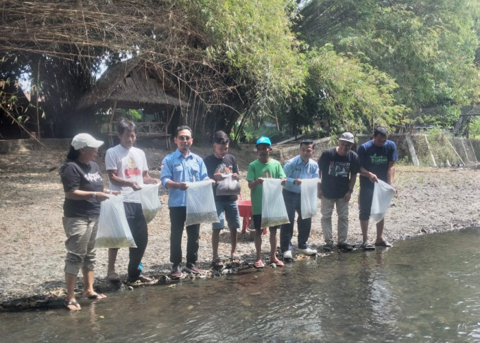 Satu Persatu Suaka Perikanan Di Bantul Mulai Tumbuh, Suaka Perikanan Sungai Gawe Mulai Berbuah