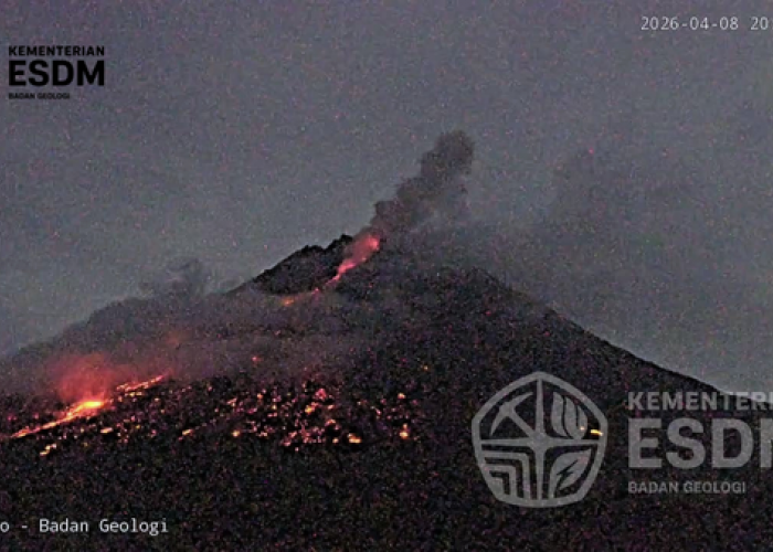 Merapi Keluarkan Awan Panas Malam Hari, Luncur 1,1 Km ke Kali Putih