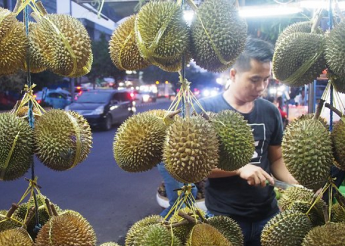 Rekomendasi Street Food Murah Meriah Sekitar Stasiun Mangga Besar, Cek Ulasan Selengkapnya Disini