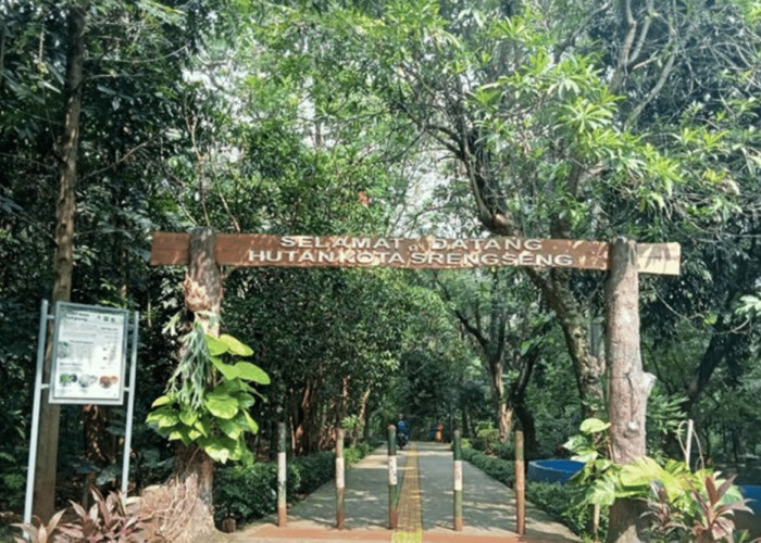 Deretan Wisata Alam di Jakarta Cocok untuk Healing Sejenak, Simak Ulasannya Berikut Ini