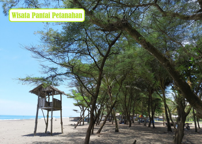 Pantai Petanahan Kebumen: Wisata Terbaru 2024, Surga Tengah Jawa yang Menawan? Cek Tiket, Lokasi, Fasilitasnya