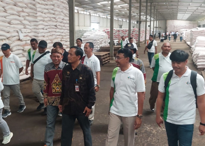 Pupuk Subsidi di Kabupaten Tegal Nyaris Langka, Pemerintah Gelar Gebyar Diskon