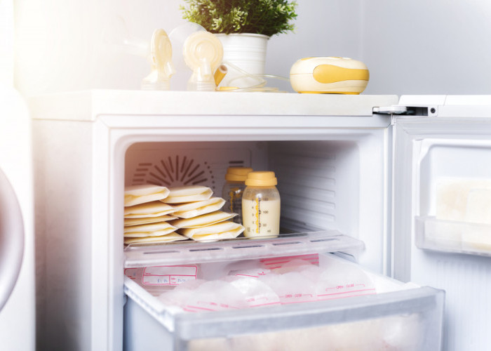 7 Rekomendasi Merk Kulkas Terbaik Jenis Freezer Untuk Menyimpan ASI Yang Aman dan Tahan Lama