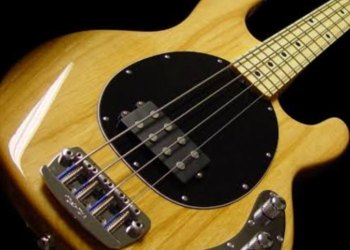 9 Tips Untuk Menghindari Kesalahan Dan Penyesalan Saat membeli Gitar Bass. Yuk! Simak