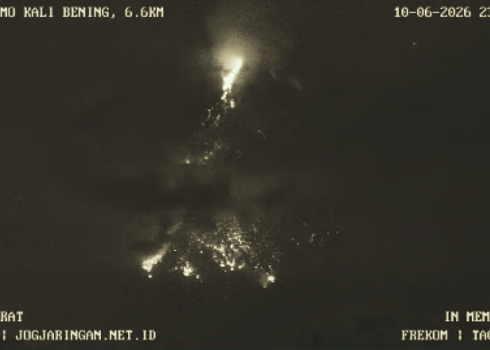 Gunung Merapi Kembali Aktif, 141 Guguran dan 1 Awan Panas Tercatat dalam Sehari