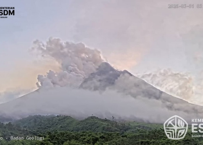 BPPTKG Laporkan Awan Panas Guguran Merapi Dua Kali, Status Masih Siaga