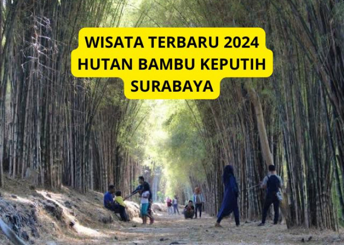 Hutan Ditengah Kota? Yuk Simak Wisata Terbaru 2024 Hutan Bambu Keputih Surabaya, Cek Disini