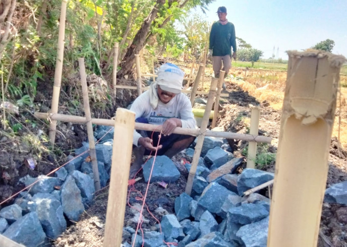 Pembangunan Jaringan Irigasi Tersier Slatri Diduga Tak Sesuai Spesifikasi, Per Titik Proyek Senilai Rp195 Juta