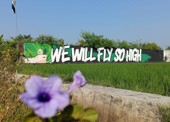 Mural Yogyakarta, Dari Kritik Sosial hingga Ekspresi Dukungan, Seni Jalanan yang Kian Berkembang