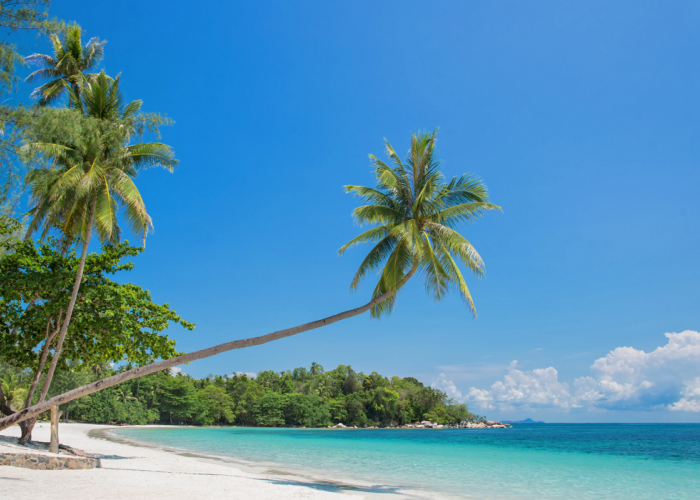 6 Daftar Wisata Unik Pulau Bintan dengan Keindahan dan Keragaman Memanjakan Mata, Cek Disini