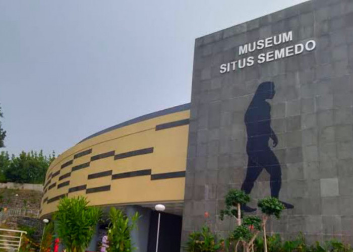 Museum Situs Semedo, Saksi Bisu Perjalanan Kehidupan Homo Erectus