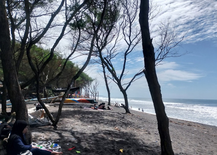 Kunjungan Wisata Januari Tembus 155 Ribu, PAD Bantul Baru 7,7 Persen dari Target