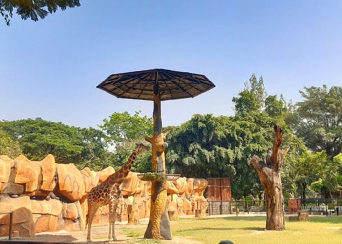 Daftar Tempat Wisata Dekat Stasiun Wonokromo, Bisa Jadi Pilihan untuk Isi Waktu Liburan di Surabaya