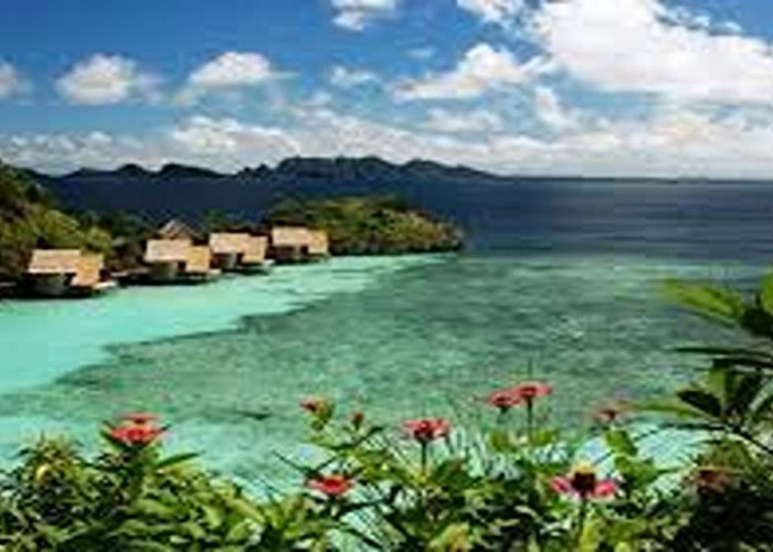 Terpopuler dan Memukau! Destinasi Wisata Hits Karimunjawa 2025, Pesona Eksotis Cocok Untuk Outing