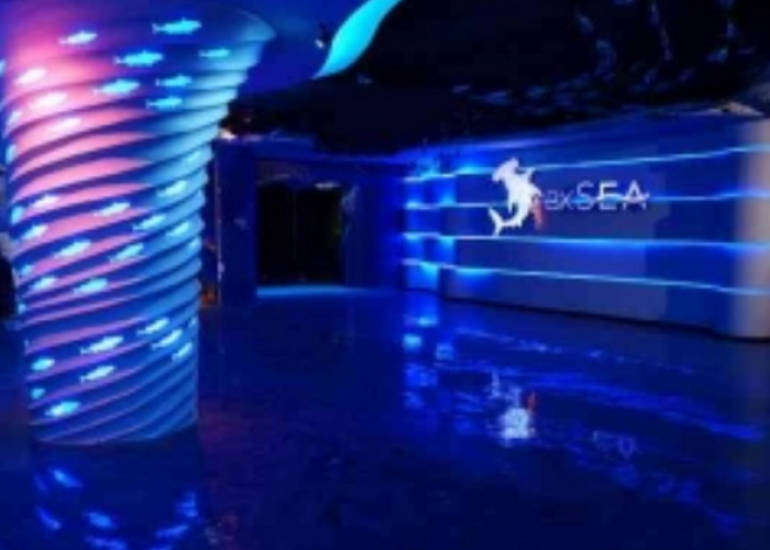 Promo BxSea, Modal Nilai Rapor 80, Bisa Menjelajahi Dunia Bawah Laut Tanpa Biaya