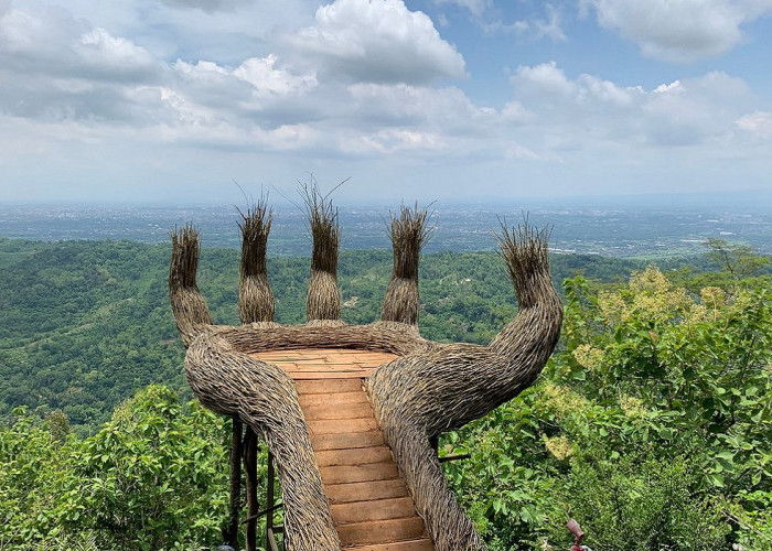 Wisata Hutan Pinus Pengger Yogyakarta: Daya Tarik, Fasilitas, Tiket Masuk hingga Lokasi Lengkap