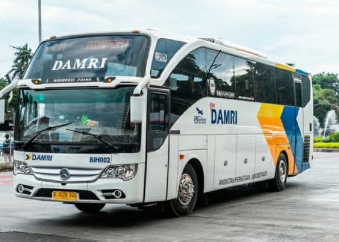 Jadwal, Rute dan Tarif Damri dari Bandara YIA ke Jogja dan Tempat Wisata, Cek Lengkapnya