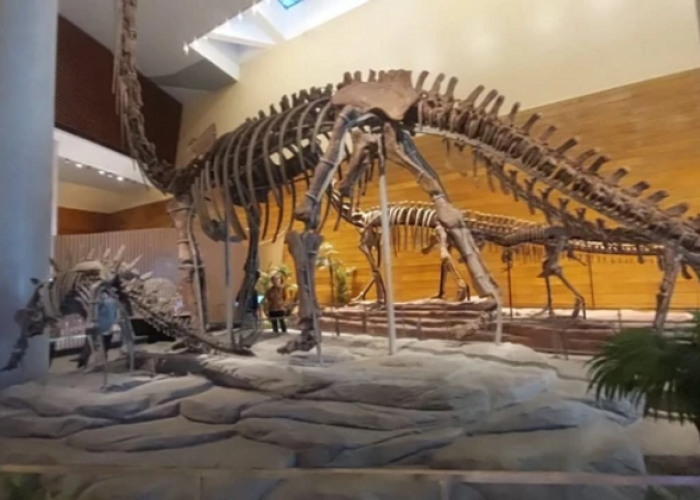 Eksplorasi Wisata Edukasi Terbaru di Solo, dan Atraksi Robot Pintar Tahir Solo Museum