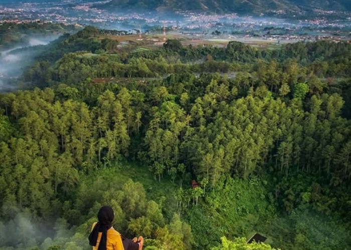 Wisata Terbaru 2024 Tebing Keraton Bandung? Siap Tampilkan Pesona Keindahan Alamnya Dengan View Estetik
