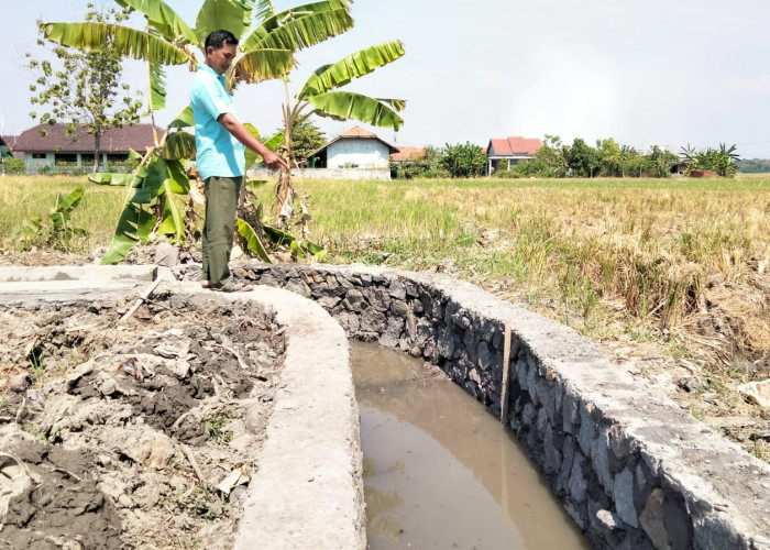 BBWS Pemali-Juana Bantah Klaim Pengawasan Proyek P3TGAI, Pelaksanaan Hingga Pengawasan Bersifat Swakelola