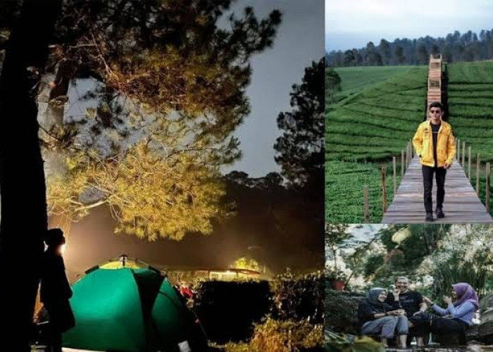 Mengungkap Pesona Riung Gunung Pangalengan? Wisata Terbaru 2024 Bandung, Simak Lokasi dan Jam Operasionalnya!