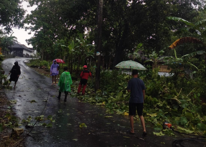 59 Titik Longsor Terjadi di DIY, BPBD Siagakan 36 Personel TRC dan 125 Brimob