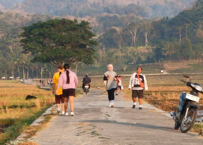 Menikmati Pesona Bukit Menoreh view Nanggulan Hamparan Sawah dan Senja di Kulonprogo