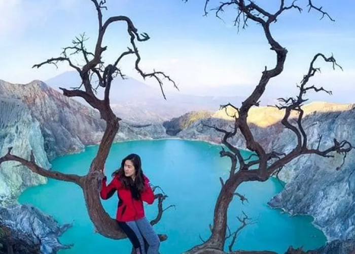 Jelajah Pesona Ujung Timur Jawa Menarik Dekat De Djawatan Banyuwangi dari Kawah Ijen 
