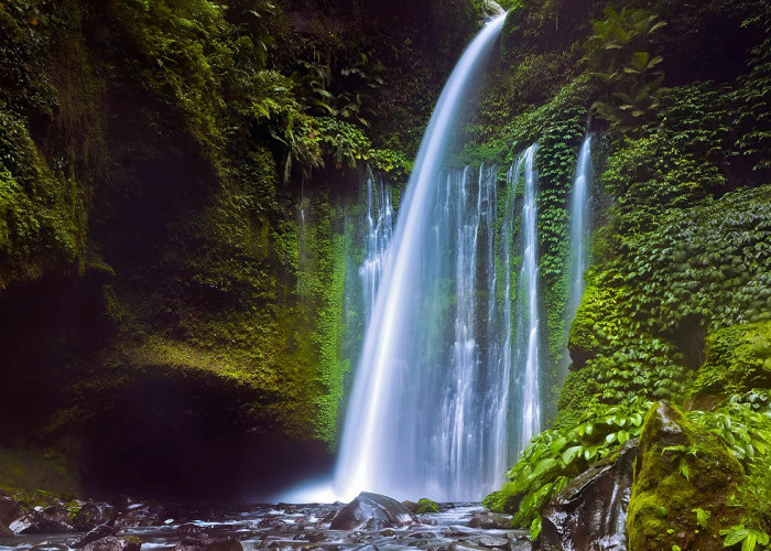5 Destinasi Wisata Air Terjun Lombok Tawarkan Panorama Eksotis Memanjakan Mata