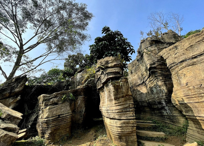 Liburan di Alam Terbuka, Inilah 5 Daftar Wisata Hits di Sentul Tahun 2025 yang Seru dan Berkesan