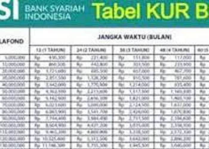 Butuh Modal Usaha 30 Juta? Simak 7 Cara Ajukan Pinjaman Berbasis Syariah Tanpa Jaminan, KUR BSI Kuota 2025 Ini