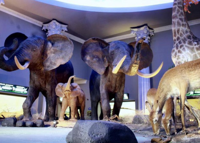 Short Trip ke Batu dari Surabaya, Itinerary Seru 3D2N untuk Liburan Keluarga April 2026