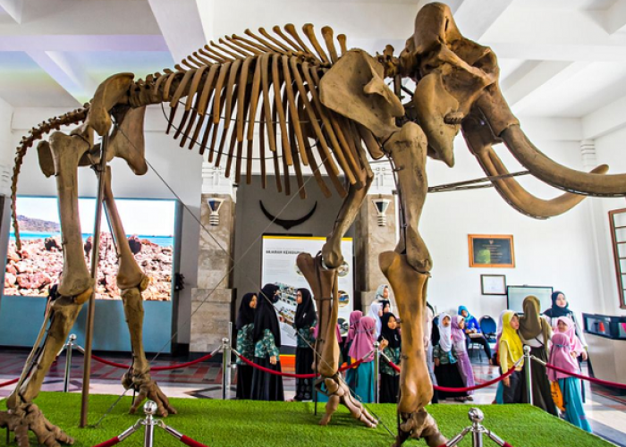 Wisata Edukasi Sejarah Bumi di Museum Geologi Bandung jadi Destinasi Favorit Liburan Keluarga 