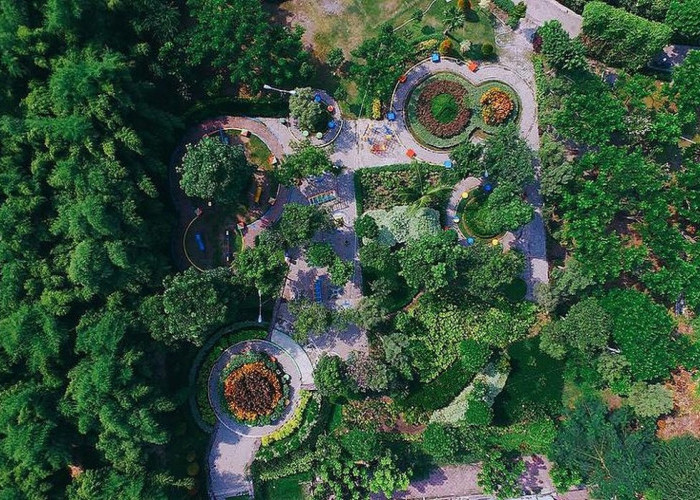 5 Rekomendasi Wisata Gratis Paling Seru di Surabaya, Liburan Berkualitas Tanpa Menguras Kantong