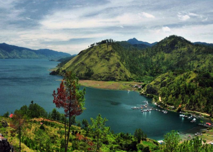 Wisata Kopi Indonesia Terbaik Menikmati Kopi Langsung dari Kebunnya