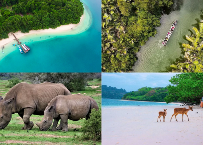 Keindahan Taman Nasional Ujung Kulon, Dengan Pemandangan Badak Sebagai Wisata Terbaru 2024