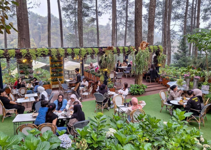 Hidden Gem Kafe Outdoor di Bandung dengan Pemandangan Kota Paling Estetik