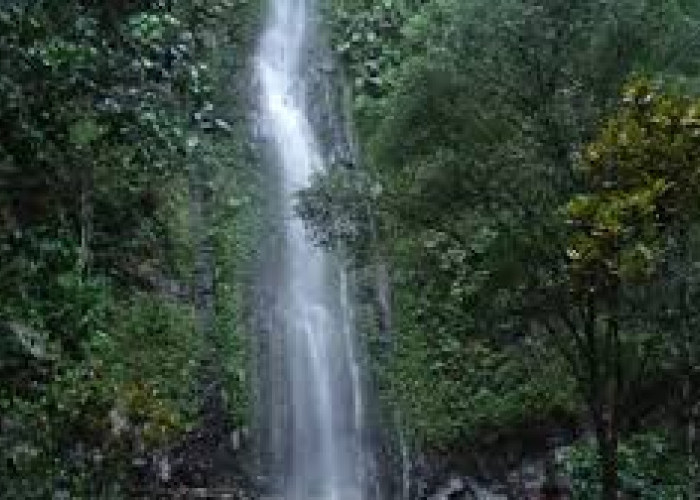 Rekomendasi Tempat Liburan Akhir Tahun Keasrian Air Terjun Tlogo Muncar, Nyaman dan Cocok Untuk Melepas Penat