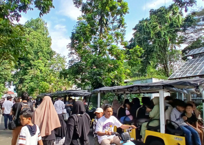 Wisata Edukasi Alam untuk Menikmati Liburan Sekolah di Kebun Raya Bogor dengan Sepeda dan Golf Car