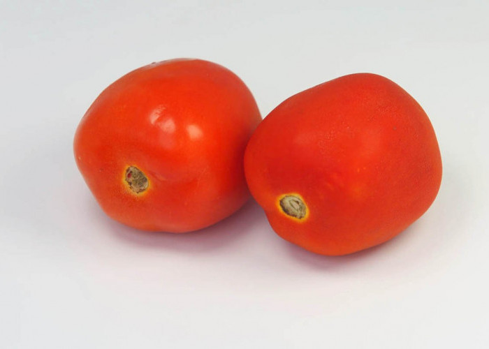 Inilah 5 Manfaat Tomat yang Tidak Terduga, Bikin Wanita Bahagia