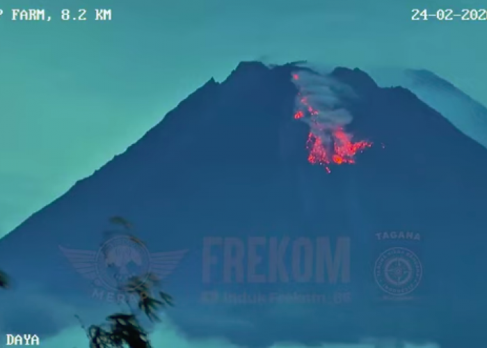 Awan Panas Guguran Merapi Meluncur 1.500 Meter ke Kali Krasak, 9 Kali Guguran Lava Teramati