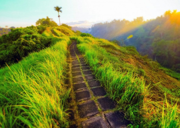 Berikut 6 Tempat Wisata Terbaru 2024 Alam di Bali? Cocok Buat Libur Lebaran, Keindahan Alamnya Memanjakan Mata
