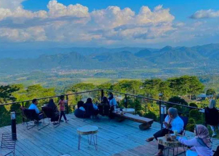 Daya Tarik dan Fasilitas Wisata Terbaru 2024 Kopi Botanika? Tampilkan Cantiknya View Natural Gunung Ciremai