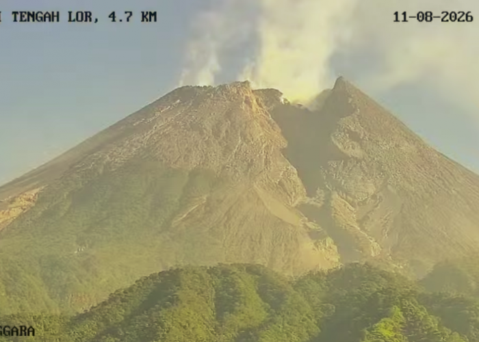 Merapi Kembali Erupsi Guguran, Awan Panas Meluncur 2 Kilometer Selasa Pagi
