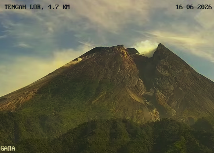 Awan Panas Guguran Terjadi di Merapi Pagi Ini, Meluncur ke Kali Sat Sejauh 2 Kilometer